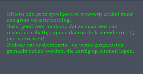 Kittens zijn geen speelgoed of wegwerp artikel maar een grote verantwoording.  Besef goed voor aankoop dat ze maar een paar maanden schattig zijn en daarna de komende 10 - 15 jaar volwassen! Bedenk dat er dierenarts,- en verzorgingskosten gemaakt zullen worden, die aardig op kunnen lopen.