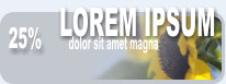 25% LOREM IPSUM dolor sit amet magna